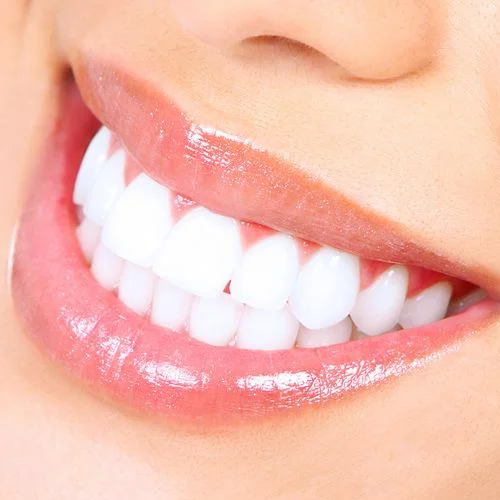 Newtown Dentist - Dr. Edward Magida