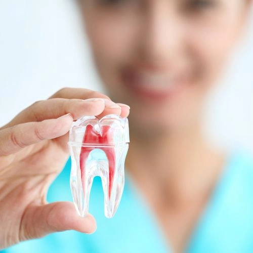 Newtown Dentist - Dr. Edward Magida